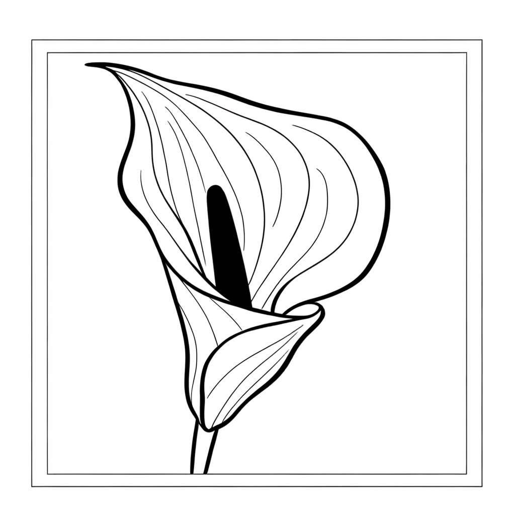 Elegant calla lily coloring page with curved trumpet-shaped flower design