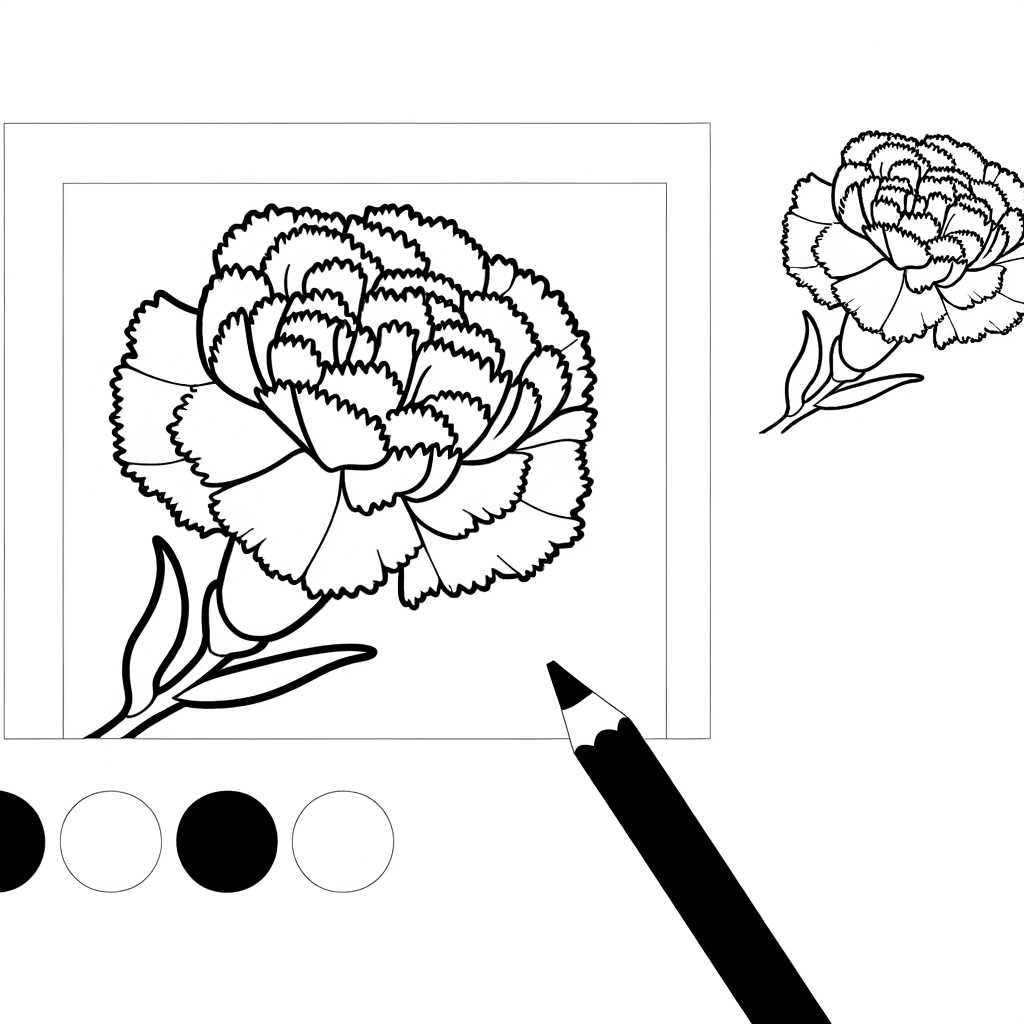 Carnation flower coloring page with detailed ruffled petal edges outline drawing