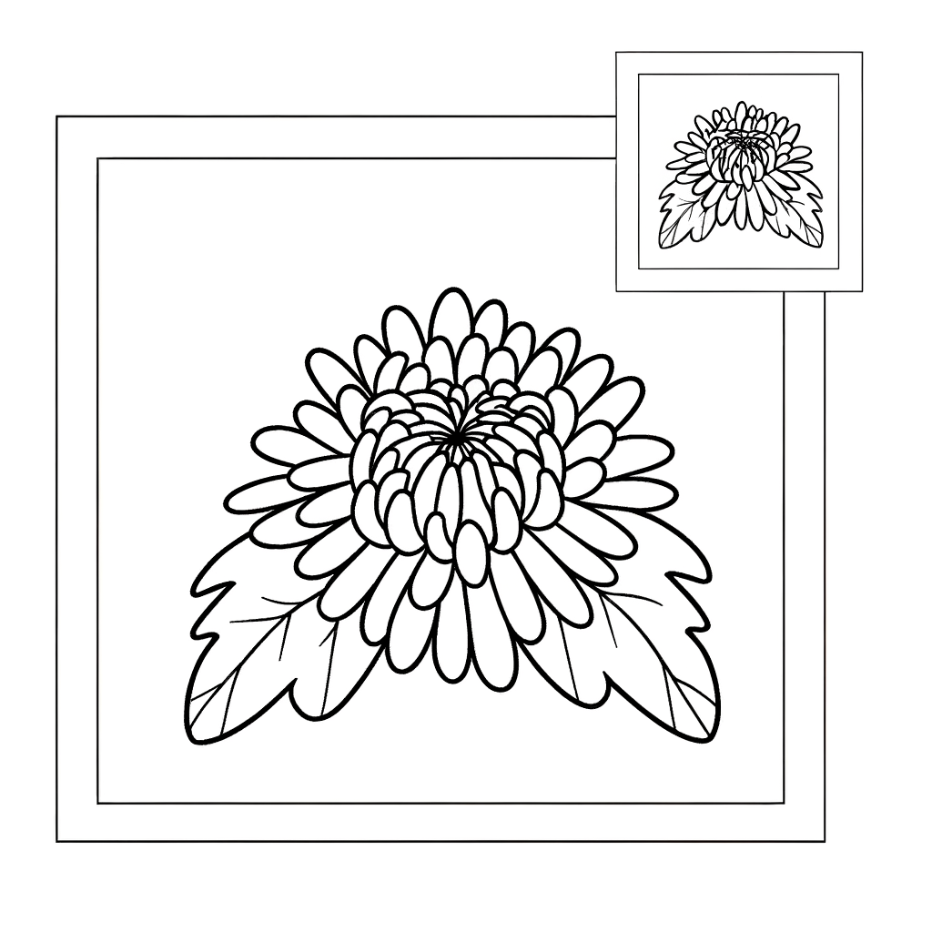 Detailed line drawing of a chrysanthemum flower with layered petals for coloring
