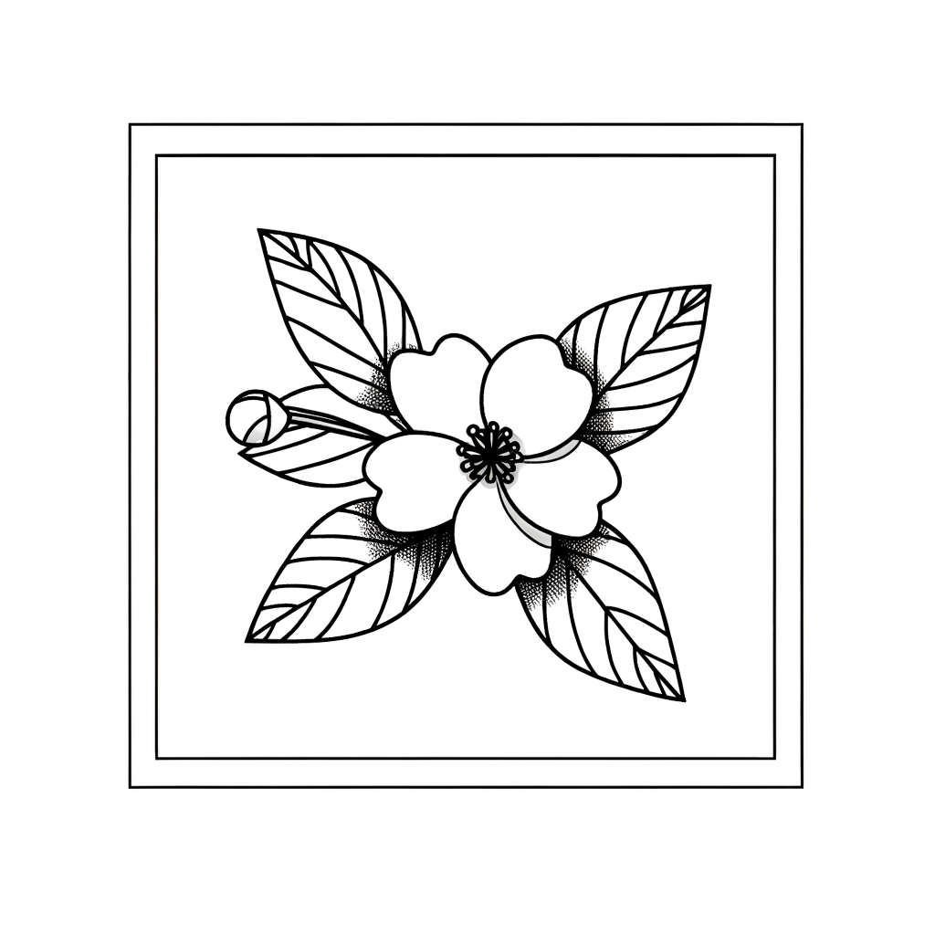 Line drawing of a jasmine flower with detailed petals and leaves for coloring