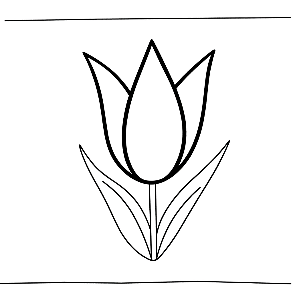 Coloring page of a lily tulip flower with pointed petals