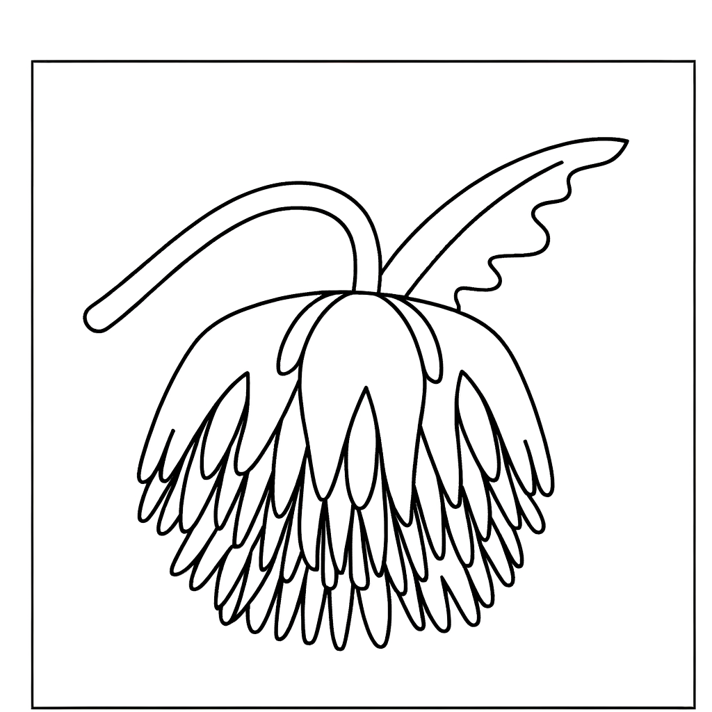 Parrot tulip coloring page with detailed fringed petals and ruffled edges
