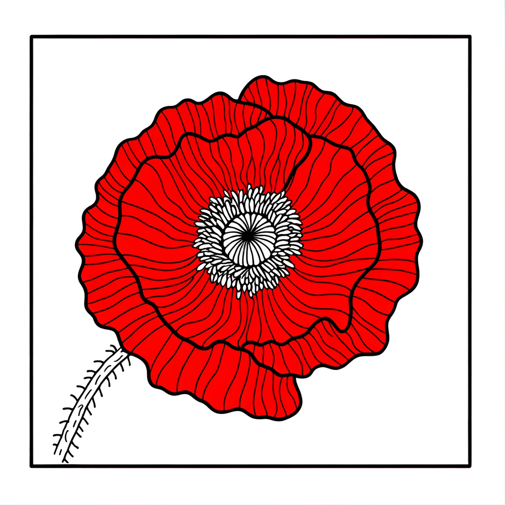 Coloring page of a bright red poppy flower with detailed petals