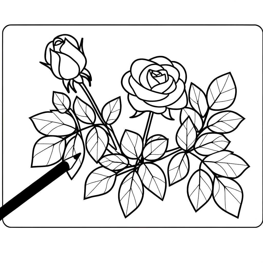 Rose bush coloring page with multiple blooming roses and detailed leaves
