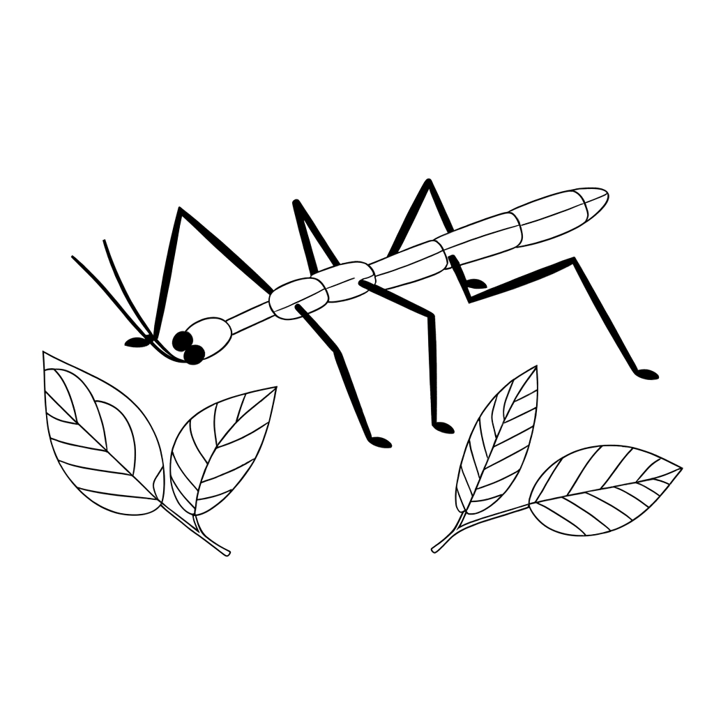 A detailed coloring page of a walking stick insect on leaves.