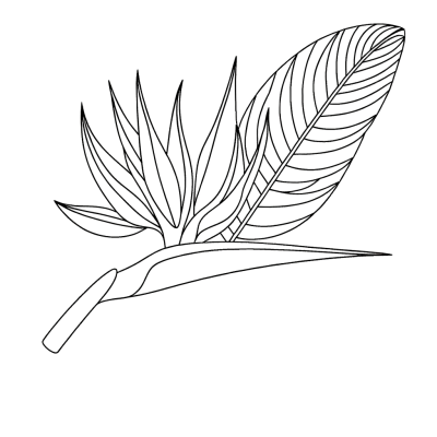 Bird of Paradise exotic flower coloring page with detailed petals and tropical design