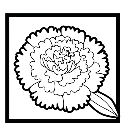 Carnation flower coloring page with detailed ruffled petal edges outline drawing