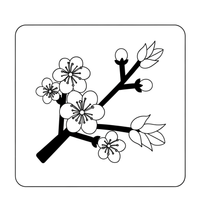 Cherry blossom branch coloring page with pink flowers and detailed petals