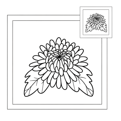 Detailed line drawing of a chrysanthemum flower with layered petals for coloring