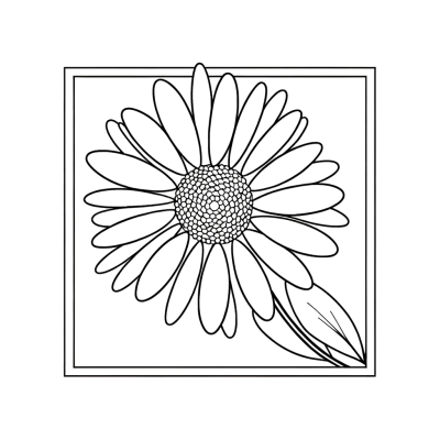 Coloring page of a delicate daisy flower with white petals