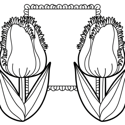 Fringed tulip coloring page with decorative fancy edges and detailed flower petals