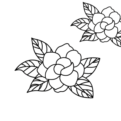Gardenia flower coloring page with detailed pure white petals outline for coloring