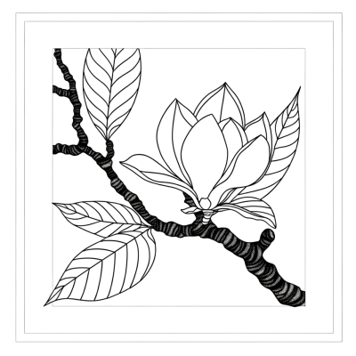 Line drawing of a magnolia flower with large petals on a tree branch for coloring