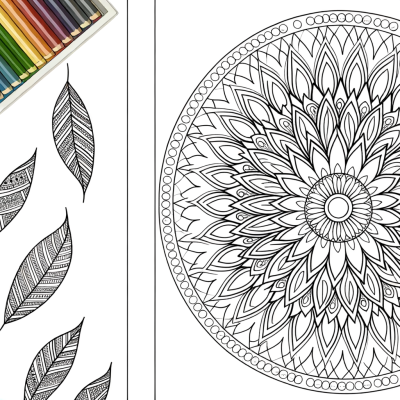 Intricate mandala coloring page with feather patterns radiating from center in circular design