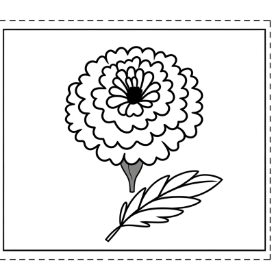 Outline drawing of a marigold flower with detailed petals for coloring in orange and yellow tones