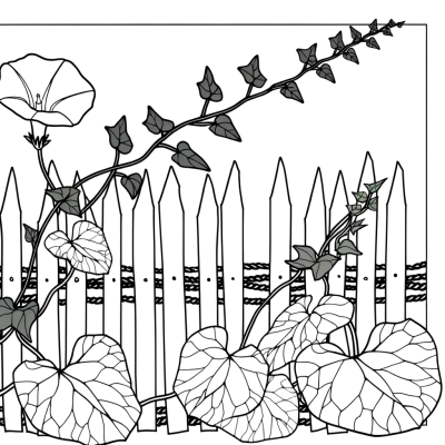Morning glory vine with trumpet-shaped flowers climbing up a wooden fence coloring page