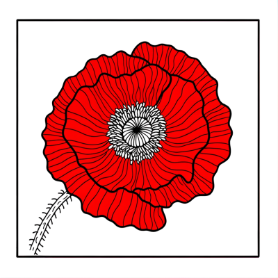 Coloring page of a bright red poppy flower with detailed petals