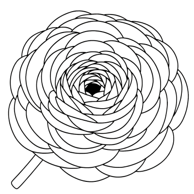 Ranunculus flower coloring page with layered petals and detailed botanical design