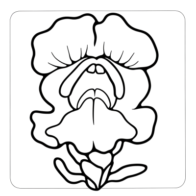 Snapdragon flower coloring page showing mouth-like blooms opening like dragon mouths