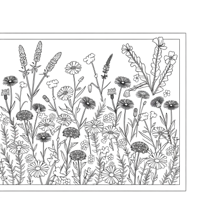 Wildflower meadow coloring page showing various mixed blooms and flowers in a natural field setting