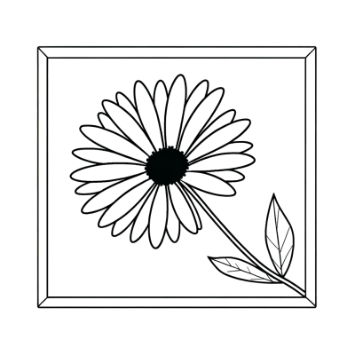 African daisy coloring page with detailed flower petals and center for coloring with bright hues