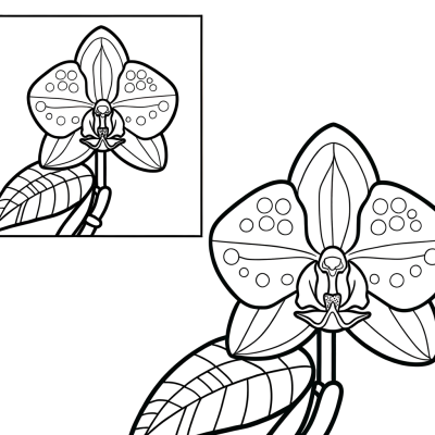 Coloring page of an exotic orchid with detailed blooms and petals