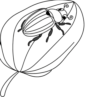 Colorful beetle sitting on a flower petal coloring page