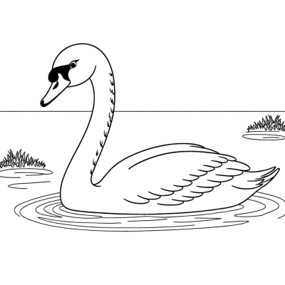 swan swimming gracefully on a lake coloring page