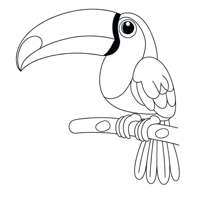 toucan with large colorful beak coloring page